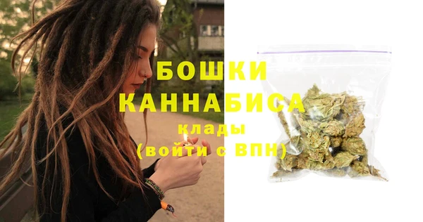 дживик Нягань