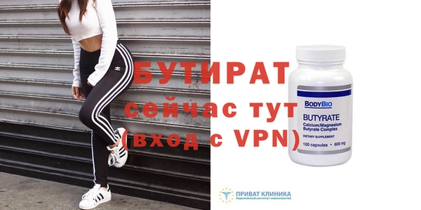 шишки Няндома