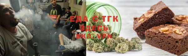 шишки Няндома