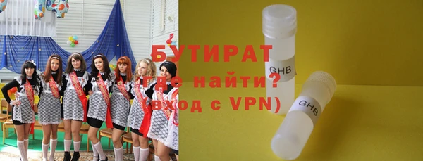 шишки Няндома