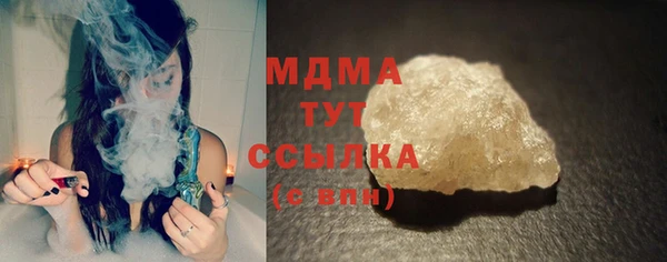 шишки Няндома