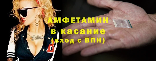 шишки Няндома