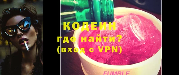 шишки Няндома
