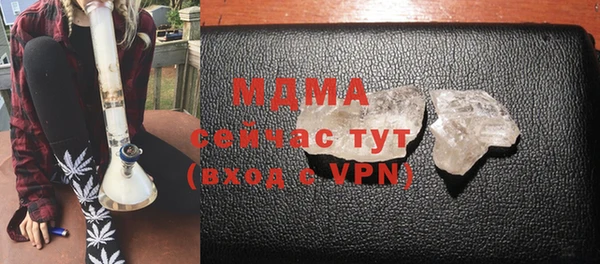 шишки Няндома
