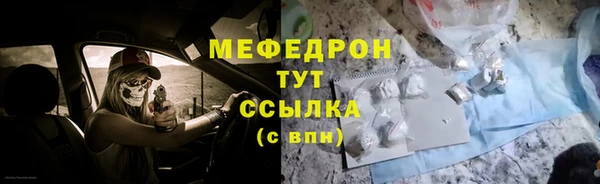 шишки Няндома