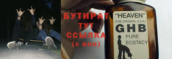 шишки Няндома