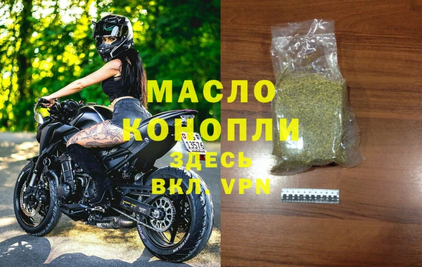 шишки Няндома