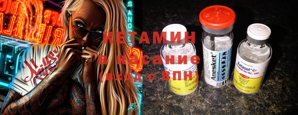 шишки Няндома