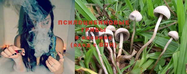 дживик Нягань