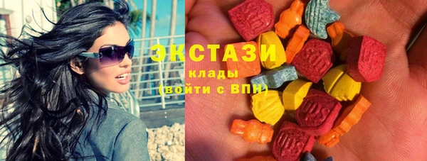 шишки Няндома