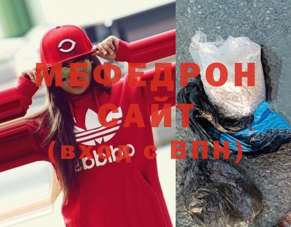 шишки Няндома