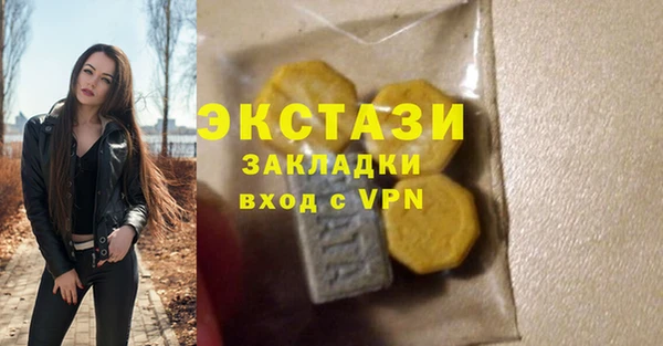 шишки Няндома