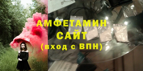 шишки Няндома