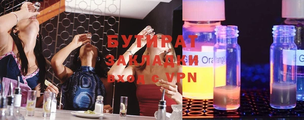шишки Няндома