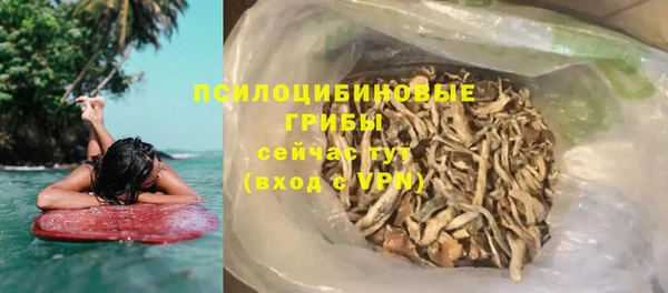 шишки Няндома