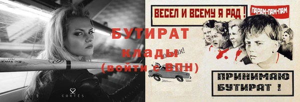 шишки Няндома